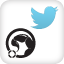 Scorpion Tweets